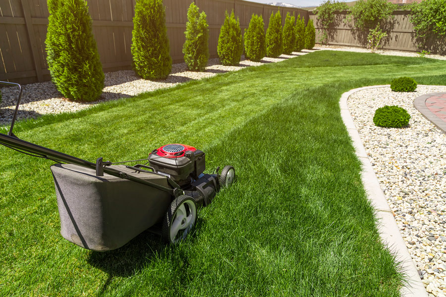 Lawn Aeration Redding Free OnSite Consultations Londono Lawn